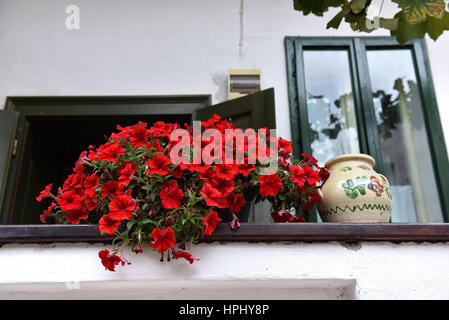 Rural house with red Geranium flowers in the porch Stock Photo