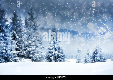 Winter landscape with snowy trees and snowflakes. Christmas concept Stock Photo