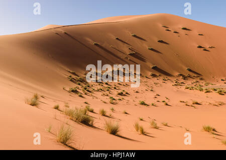 Panormaic view over the dunes of Erg Chebbi Desert near Merzouga, Morocco. Stock Photo