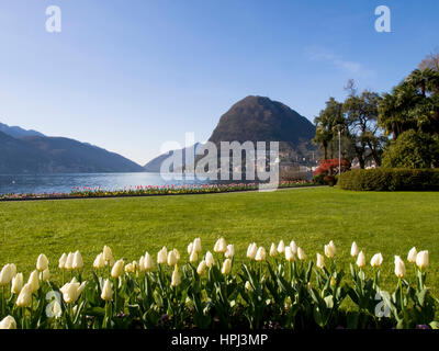 Lugano, Switzerland: Parco Ciani, city garden with fresh flowers of the current season. Intense color of flowers on a fine spring day. Stock Photo