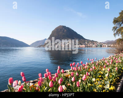 Lugano, Switzerland: Parco Ciani, city garden with fresh flowers of the current season. Intense color of flowers on a fine spring day. Stock Photo