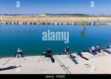 Wallern im Burgenland, Fishing competition at an excavated pond, Neusiedler See (Lake Neusiedl), Burgenland, Austria Stock Photo