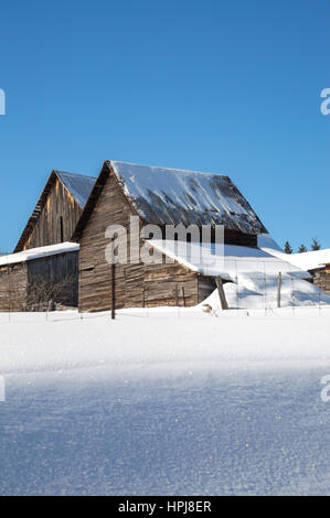 Two snow covered barns in the sunshine in Northern Ontario. Blue sky and fresh white snow. Copy space at the bottom in the snow. Stock Photo