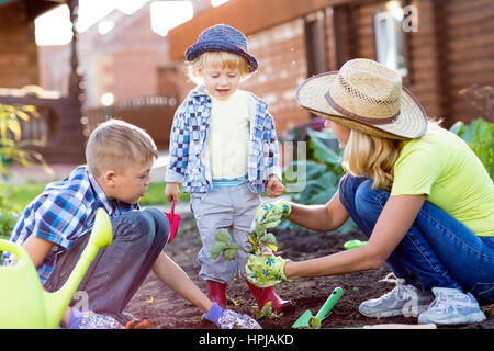 Kids with mother planting strawberry seedling into soil outside in garden Stock Photo