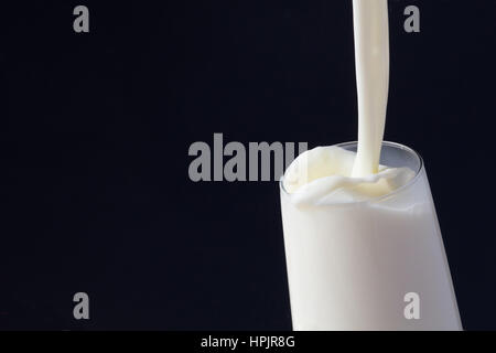 Milk splash in the glass on black background Stock Photo