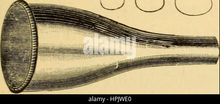 'Diseases of the ear : a text-book for practitioners and students of medicine' (1900) Stock Photo