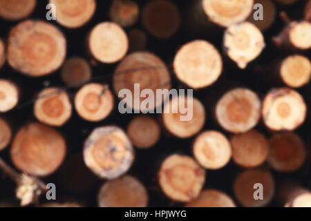Unfocused wooden natural background with cutting circle logs Stock Photo