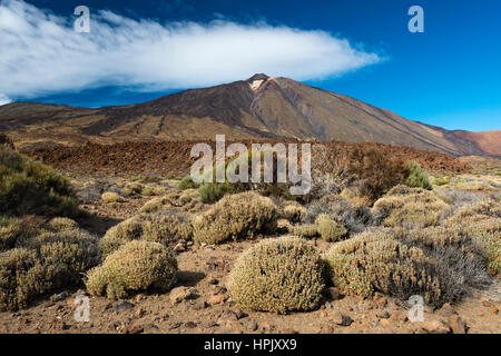 Teide volcano, Teide National Park, Canary Islands, Tenerife, Spain Stock Photo