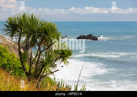 Greymouth, West Coast, New Zealand. Clifftop vegetation growing above the Tasman Sea near Seventeen Mile Bluff. Stock Photo