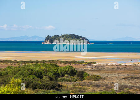 Marahau, Abel Tasman National Park, Tasman, New Zealand. View at low tide across Sandy Bay to Fisherman Island. Stock Photo