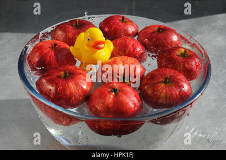 Ducking for Apples. Yellow plastic duck enjoying a good splash about in a bowl of water and red apples. Stock Photo