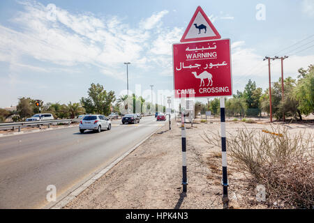 ABU DHABI, UAE - NOV 29, 2016: Camel crossing sign at a busy road in the Emirate of Abu Dhabi. United Arab Emirates, Middle East Stock Photo