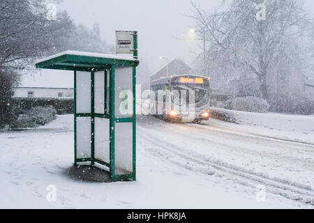 Killearn, Stirlingshire, Scotland, UK. 23rd Feb, 2017. UK weather - early morning bus running in heavy snow in the rural village of Killearn Credit: Kay Roxby/Alamy Live News Stock Photo