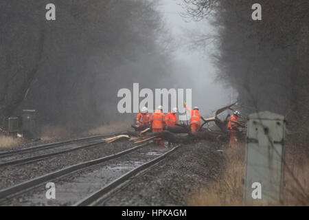 Sudbury, Derbyshire, UK. 23rd Feb, 2017. UK Weather. A large tree causing a blockage on the railway at Sudbury, Derbyshire, near Uttoxeter, due to Storm Doris and high winds. Network Rail personnel attempt to remove the tree and repair the damaged track. Disruption caused between Crewe, Stoke-on-Trent and Derby. 23rd February 2017. Credit: Richard Holmes/Alamy Live News Stock Photo