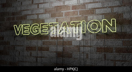 VEGETATION - Glowing Neon Sign on stonework wall - 3D rendered royalty free stock illustration.  Can be used for online banner ads and direct mailers. Stock Photo