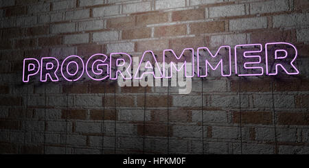 Hd Programming Signs PROGRAMMER - fluorescent Neon tube Sign on brickwork - Front view - 3D ...