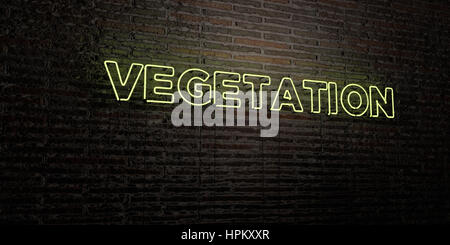 VEGETATION -Realistic Neon Sign on Brick Wall background - 3D rendered royalty free stock image. Can be used for online banner ads and direct mailers. Stock Photo