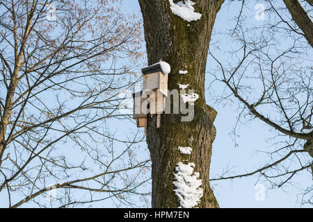 Birdhouse on a tree in winter Stock Photo