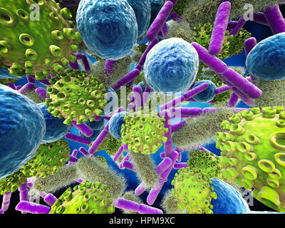 3d rendering various bacteria cells and virus Stock Photo