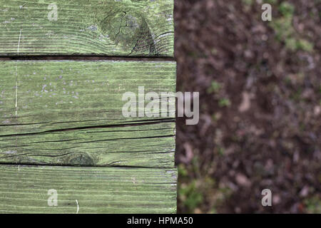 Details of an old wooden plank colored in green, ground in blurry background. Stock Photo