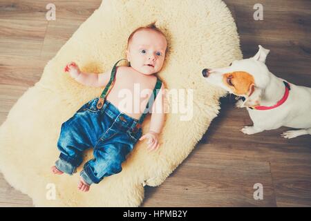 Little boy and dog at home. Adorable baby resting on the fur blanket.