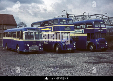 Scotland, UK - 1973: Vintage image of buses.  Alexander Midland buses parked in yard (registrations OMS 266 and SWG 633). Stock Photo