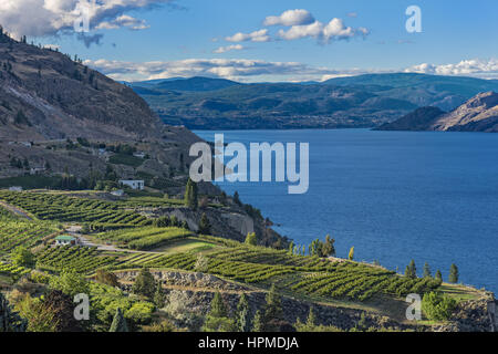 Okanagan Lake near Summerland British Columbia Canada with orchard and vineyard in the Foreground Stock Photo