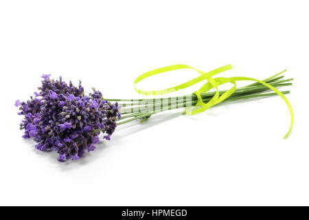 bunch of lavender isolated on white background Stock Photo