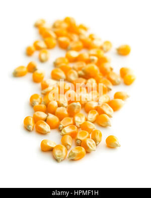 The corn seeds isolated on white background. Stock Photo