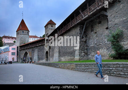 Old city walls in Gümnaasium street,Tallinn, Estonia Stock Photo