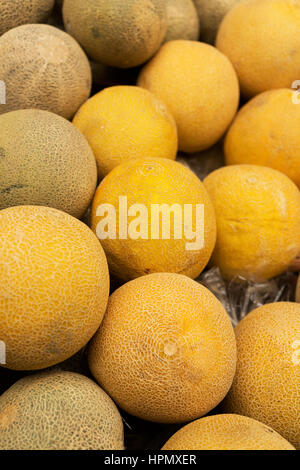 Galia Melons Stock Photo