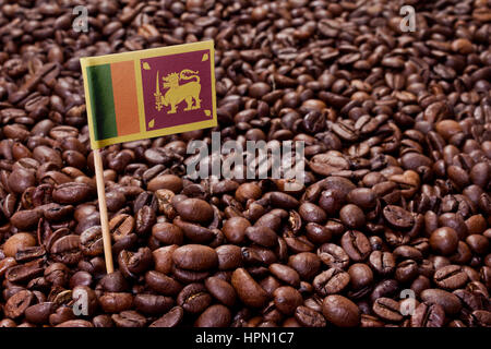 Flag of Sri Lanka sticking in roasted coffee beans.(series) Stock Photo