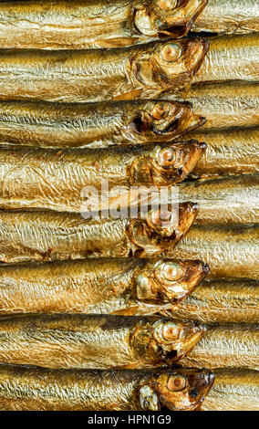 detail shot showing lots of fresh smoked sprats Stock Photo