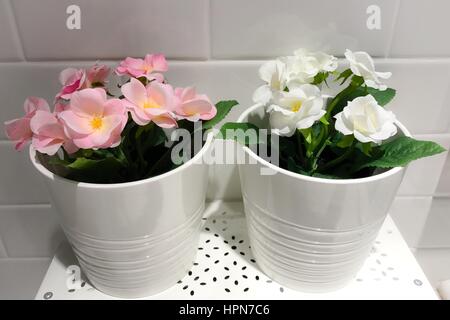 Potted plants Stock Photo