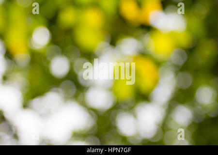 Abstract nature background Stock Photo