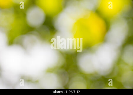 Abstract nature background Stock Photo