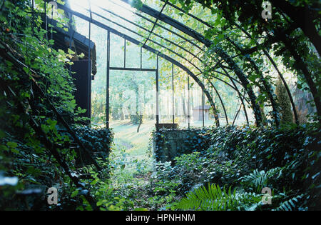 A greenhouse. Stock Photo