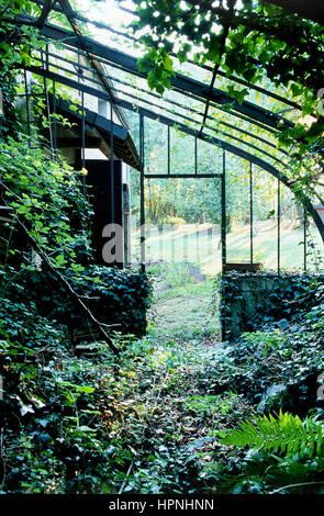 A greenhouse. Stock Photo