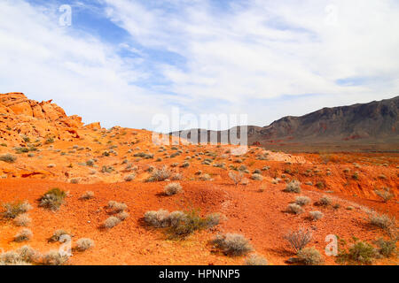 Orange Ground in the Desert in the Valley of Fire State Park, Nevada, USA Stock Photo