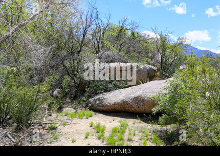 Rocks and scrubs in the base of the Sandia Mountains near Albuquerque, USA. Stock Photo