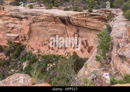 Ancient cliff dwellings at the Mesa Verde National Park in Colorado Stock Photo