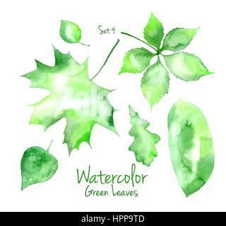 Collection of green summer watercolor leaves isolated on white background. Set of maple, oak, poplar, walnut and pear tree leaves Stock Photo