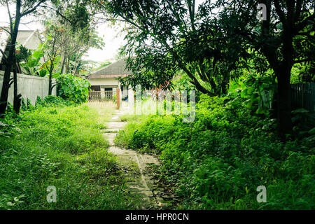 A little pathway in the middle of grass yard direct to a house building surrounding by big trees photo taken in Depok Indonesia java Stock Photo