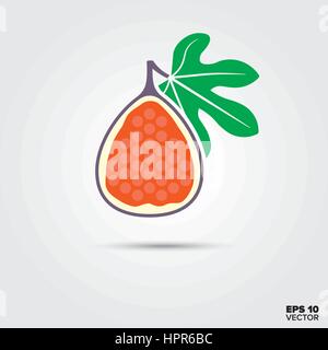 Half fig fruit with leaf vector icon Stock Vector