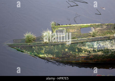 abandoned sunken boat covered in weeds river leven dunbarton Stock Photo