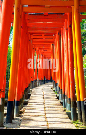 Senbon Torii Gates at Nezu-jinja Shinto Shrine Tokyo Japan Stock Photo