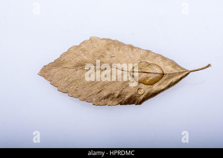 Water drops found on a gold color painted leaf Stock Photo