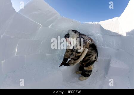 Building an igloo on the northpole Stock Photo