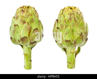artichoke isolated Stock Photo