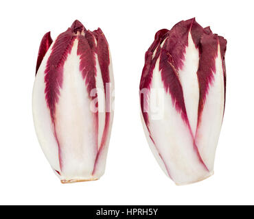 red chicory isolated Stock Photo